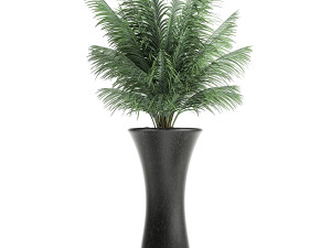 collection of decorative plants in flowerpots 829 3D Model