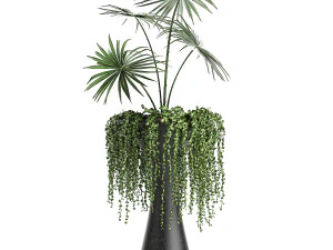 collection of decorative plants in flowerpots 829 3D Model