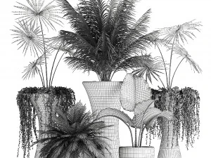 collection of decorative plants in flowerpots 829 3D Model