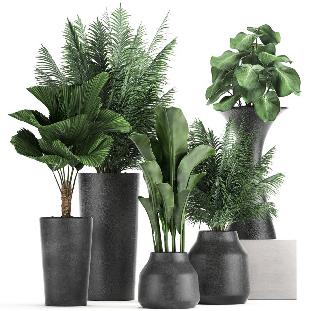 collection of decorative plants in flowerpots 830 3D-Modell .c4d .max .obj .3ds .fbx .stl .blend 