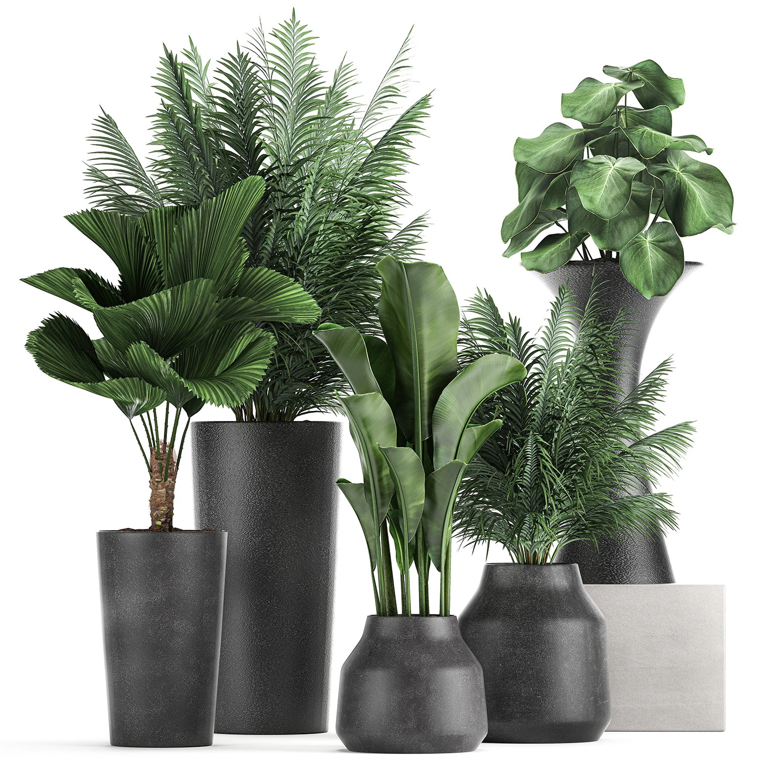 collection of decorative plants in flowerpots 830 3D Model .c4d .max .obj .3ds .fbx .stl .blend 