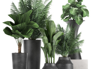 collection of decorative plants in flowerpots 830 3D Model
