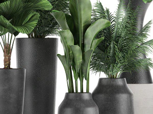 collection of decorative plants in flowerpots 830 3D Model