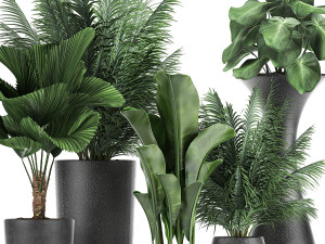 collection of decorative plants in flowerpots 830 3D-Modell