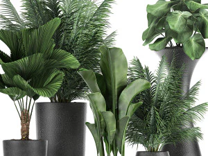 collection of decorative plants in flowerpots 830 3D Model