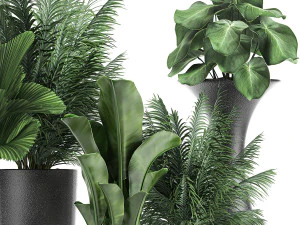 collection of decorative plants in flowerpots 830 3D Model