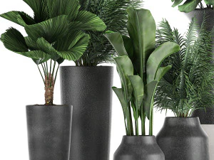 collection of decorative plants in flowerpots 830 3D Model