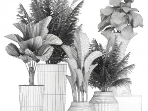 collection of decorative plants in flowerpots 830 3D Model