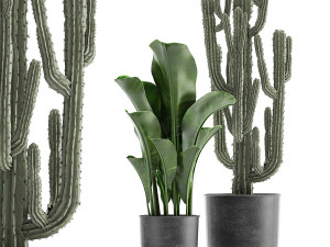 collection of decorative plants in flowerpots 831 3D Model