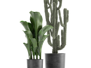 collection of decorative plants in flowerpots 831 3D-Modell