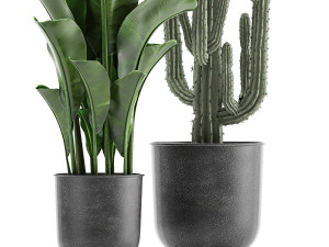 collection of decorative plants in flowerpots 831 3D-Modell
