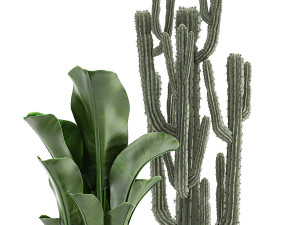 collection of decorative plants in flowerpots 831 3D-Modell