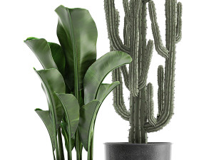 collection of decorative plants in flowerpots 831 3D-Modell