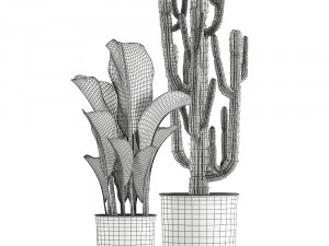collection of decorative plants in flowerpots 831 3D-Modell