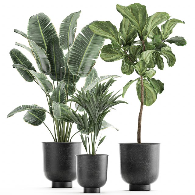 decorative plants in flowerpots 832 Modello 3D .c4d .max .obj .3ds .fbx .stl .blend 