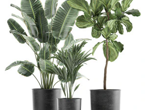 decoratieve planten in bloempotten 832 3D Model