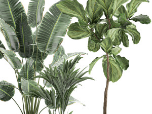 decorative plants in flowerpots 832 Modello 3D
