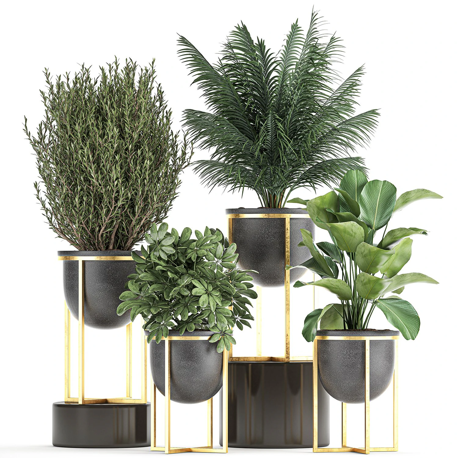 decorative plants in flowerpots 833 3D Model .c4d .max .obj .3ds .fbx .stl .blend 