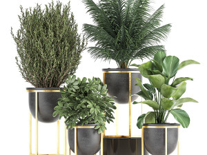decorative plants in flowerpots 833 3D मॉडल