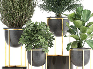 decorative plants in flowerpots 833 3D Model