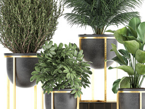 decorative plants in flowerpots 833 3D मॉडल