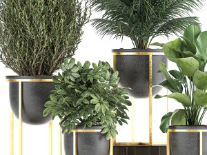 decorative plants in flowerpots 833 3D Model