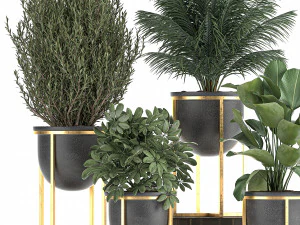 decorative plants in flowerpots 833 3D Model