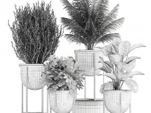 decorative plants in flowerpots 833 3D Model