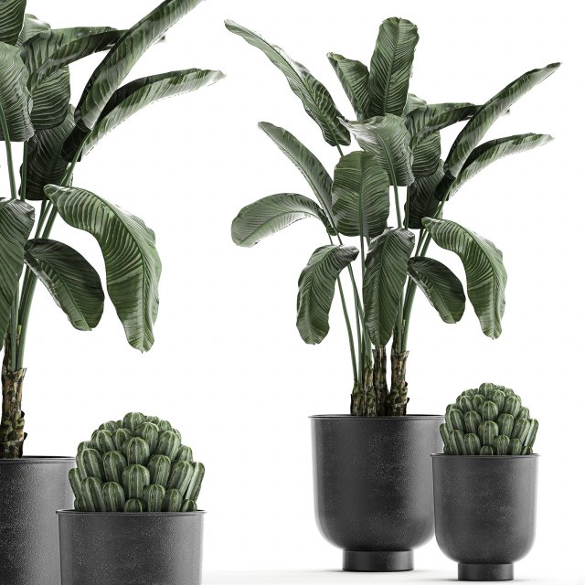 collection of decorative plants in flowerpots 834 Modelo 3D .c4d .max .obj .3ds .fbx .stl .blend 