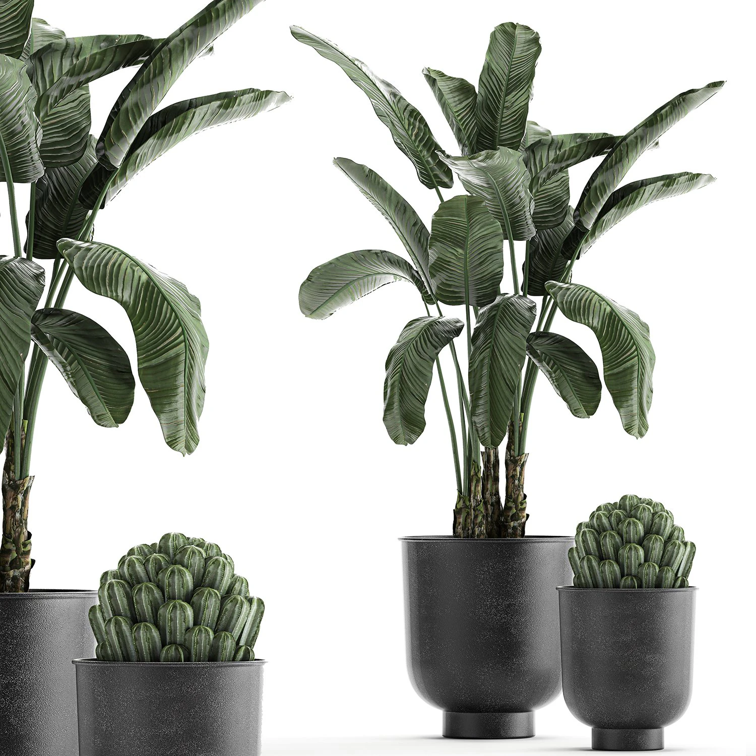 collection of decorative plants in flowerpots 834 3D Model .c4d .max .obj .3ds .fbx .stl .blend 