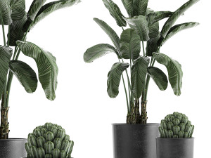 collection of decorative plants in flowerpots 834 Modelo 3D