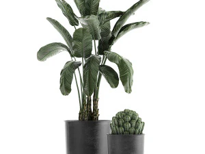 collection of decorative plants in flowerpots 834 3D Model