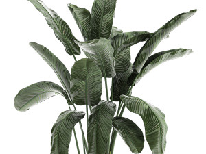 collection of decorative plants in flowerpots 834 Modelo 3D