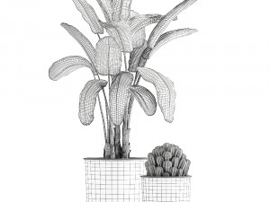collection of decorative plants in flowerpots 834 Modelo 3D