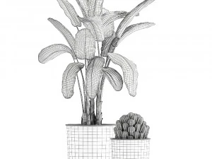 collection of decorative plants in flowerpots 834 3D Model