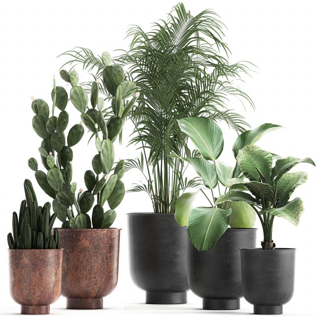 decorative plants in flowerpots 835 3D Model .c4d .max .obj .3ds .fbx .stl .blend