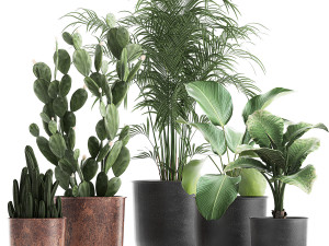 decorative plants in flowerpots 835 3D Модель