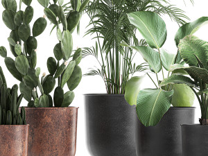 decorative plants in flowerpots 835 3D Model