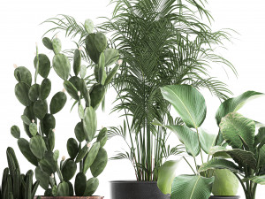 decorative plants in flowerpots 835 3D Model