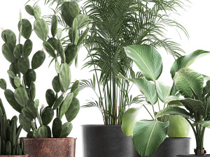 decorative plants in flowerpots 835 3D Model