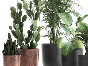 decorative plants in flowerpots 835 3D Model