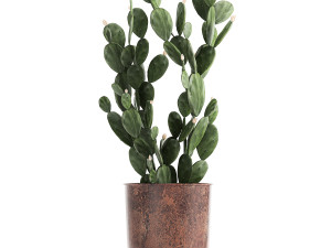 decorative plants in flowerpots 835 3D Model