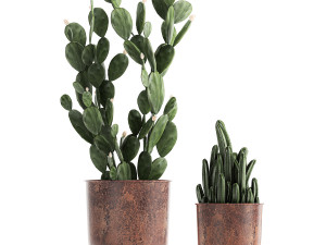 decorative plants in flowerpots 835 3D Model