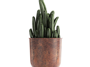 decorative plants in flowerpots 835 3D Model