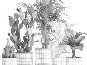 decorative plants in flowerpots 835 3D Model