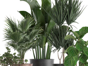 decorative plants in flowerpots 836 3D Model