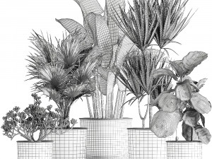 decorative plants in flowerpots 836 3D 모델