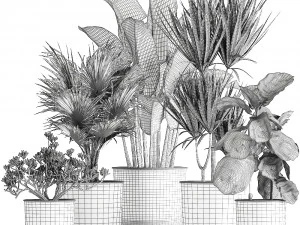 decorative plants in flowerpots 836 3D Model