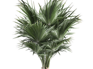 decorative palm in a vig planter flowerpot 837 Modelo 3D