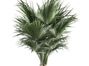 decorative palm in a vig planter flowerpot 837 3D Model